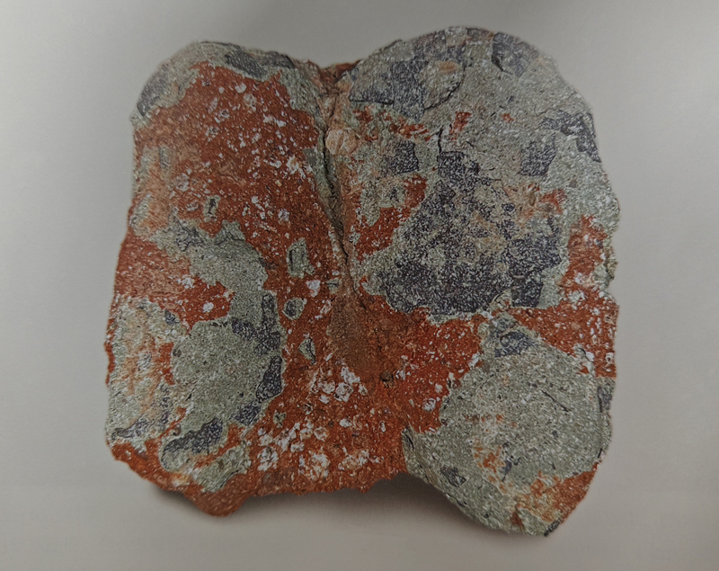 7 網(wǎng)紋副長形蛋_副本.jpg