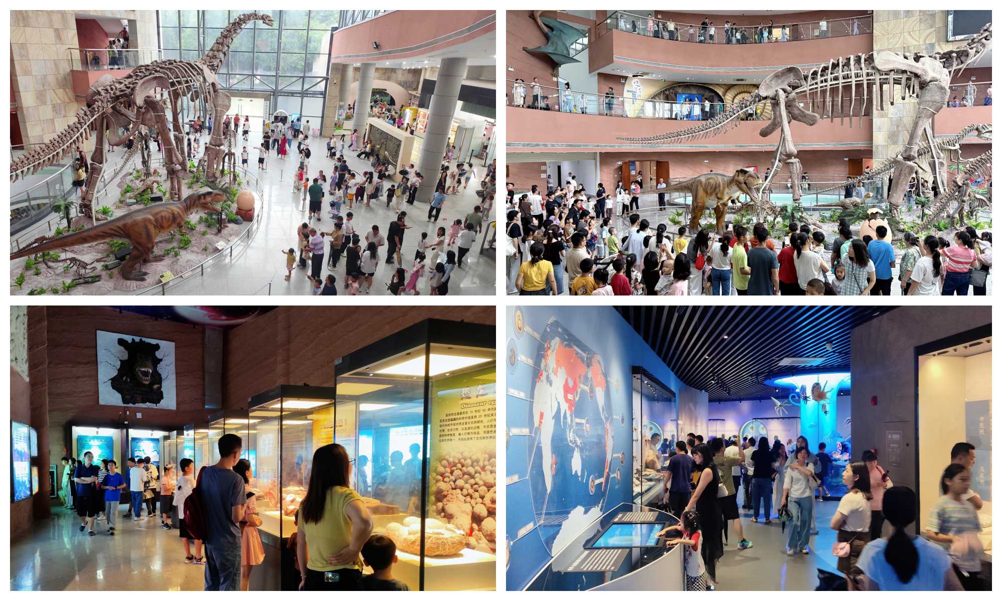 1747720270691453.jpg 1747720270691453.jpg