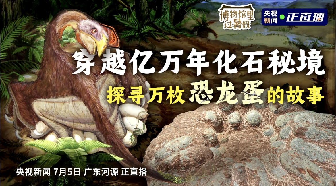 1752024999977610.jpg 1752024999977610.jpg