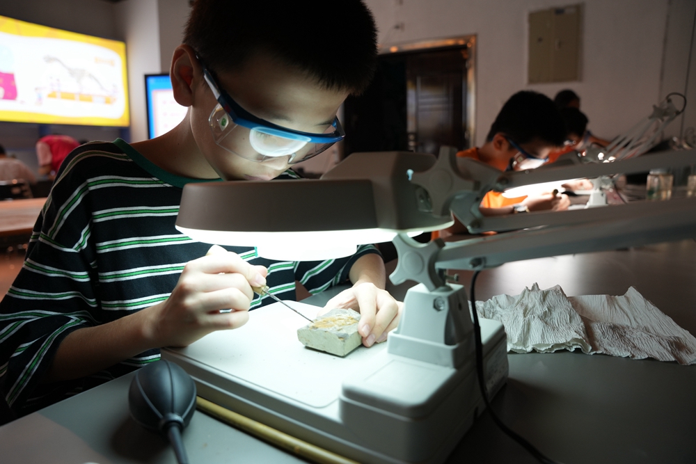 1752025197292827.jpg DSC07511.JPG