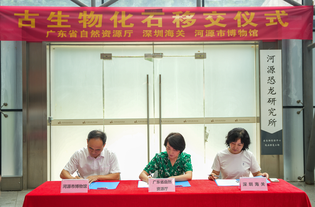 1753860239881469.jpg DSC04261.jpg