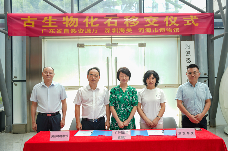 1753860379210533.jpg 1753860379210533.jpg