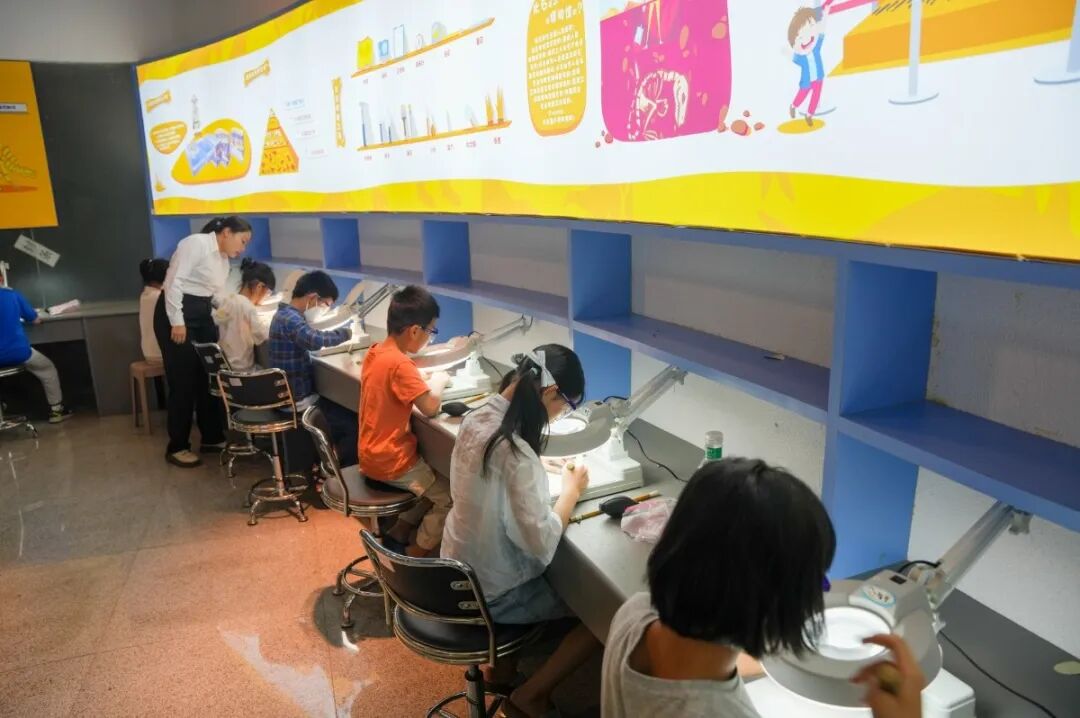 穿越億年的邀約！“我在河博修化石”第九期招募“小小考古家”啦