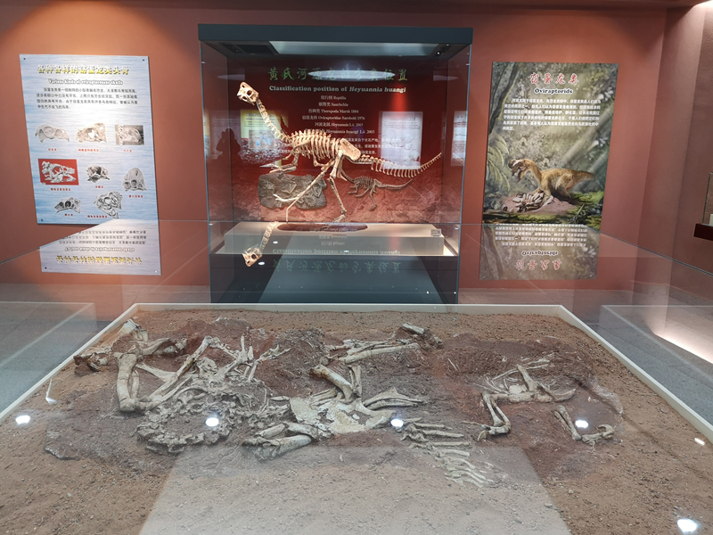 恐龍故鄉(xiāng)